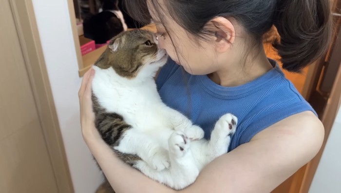 キスするスコティッシュ