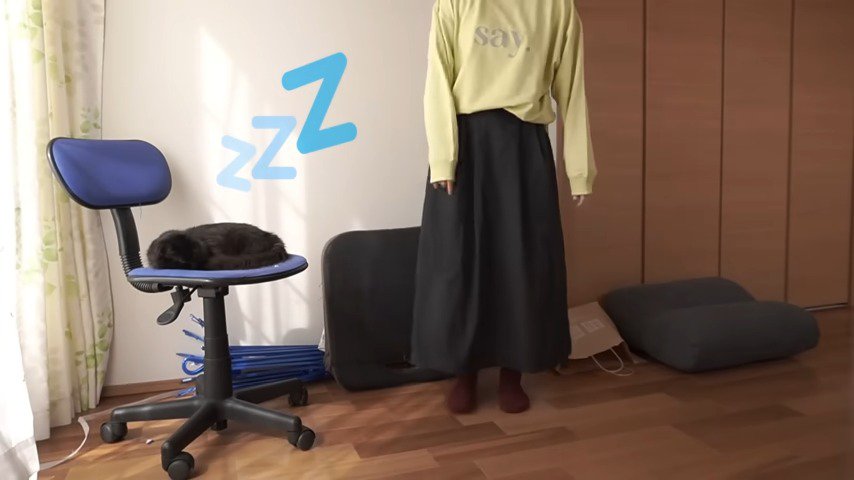 椅子の上で眠る猫