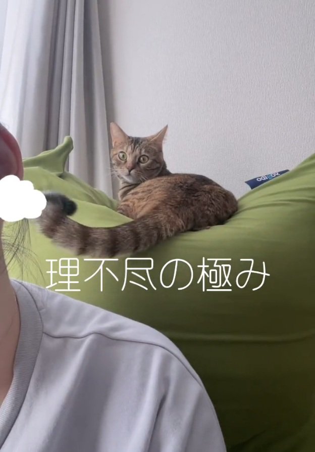 凝視するエーデルちゃん