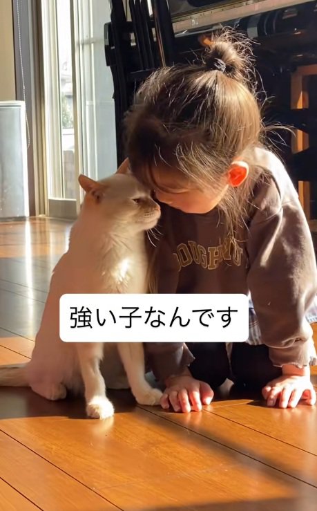 子供に顔をすりつける猫