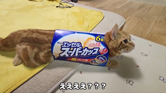 ええええ???