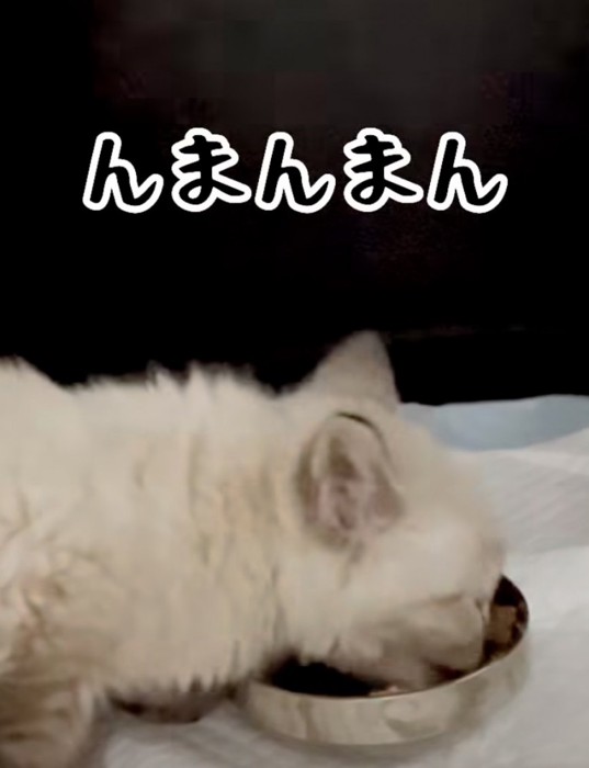 「んまんまん」のテロップ写真