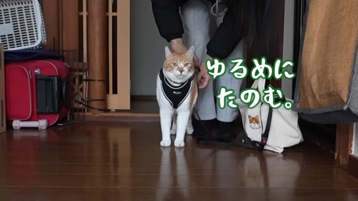 ゆるめにたのむ。