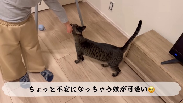 テロップ「ちょっと不安になっちゃう」