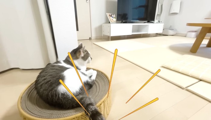 尻尾をバシバシ