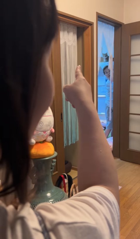 冷蔵庫の上で香箱座りしている猫を指差す飼い主