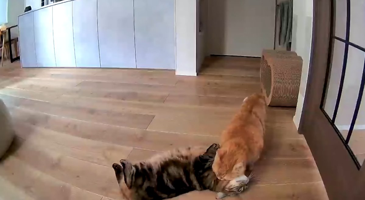 モグモグ中をアップで