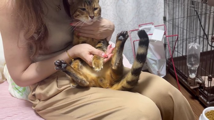 飼い主さんに抱かれるテト