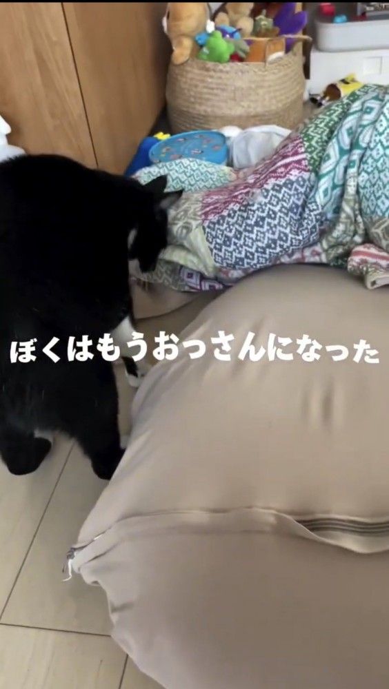 寝転がる女の子と猫