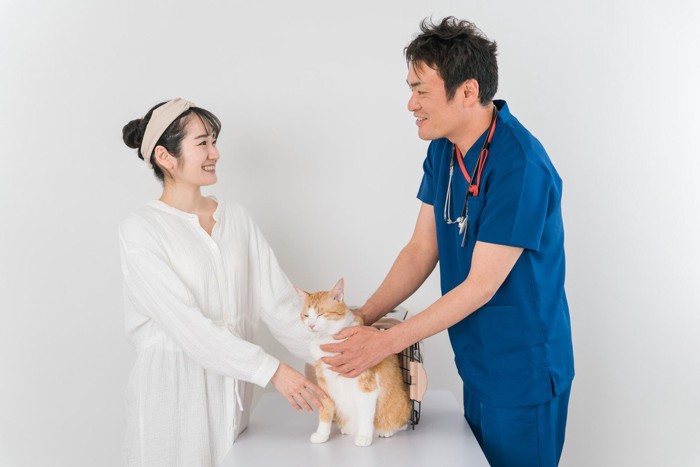 動物病院を受診する猫と女性