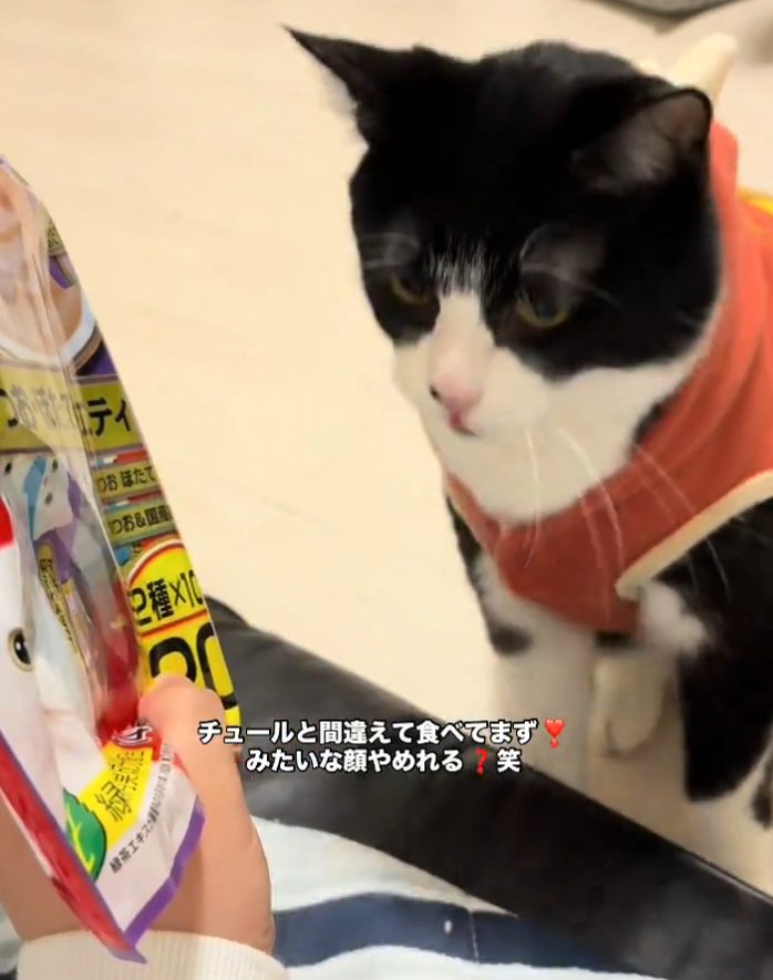 顔を引っ込めるオレオちゃん