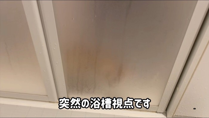 浴室の前にやってきた猫