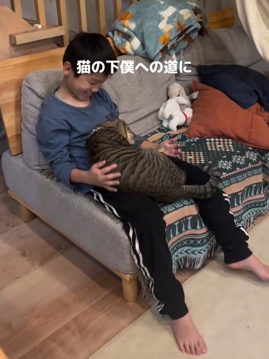 膝に猫を乗せる男の子