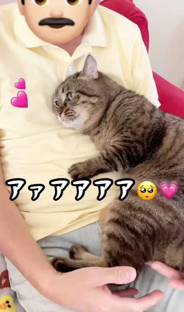 猫を膝にのせる男性