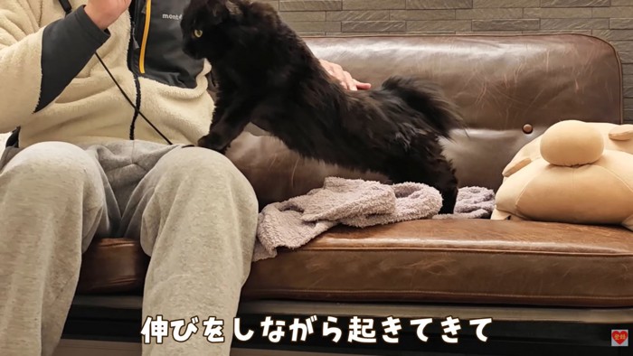 テロップ「伸びをしながら～」