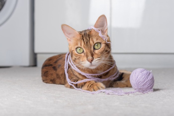 いたずらの現場