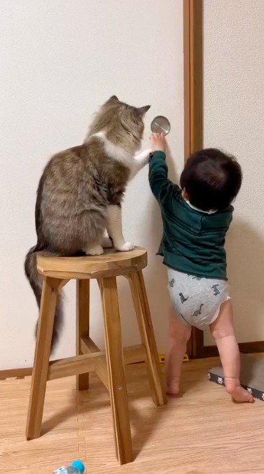 取っ手に手を近づける赤ちゃんの手に、前足を乗せる猫