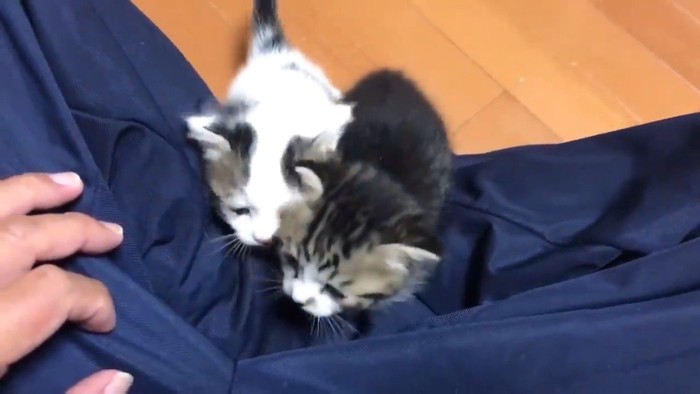 くっつくふたり