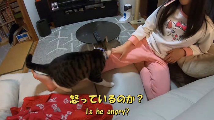 怒っているのか？