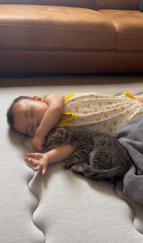 眠る赤ちゃんと子猫