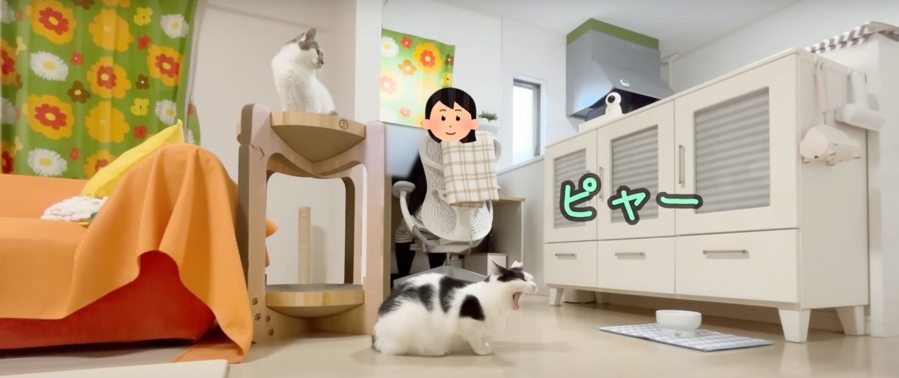 タワーと床に猫2