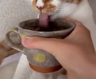 マグカップを持ち続ける飼い主