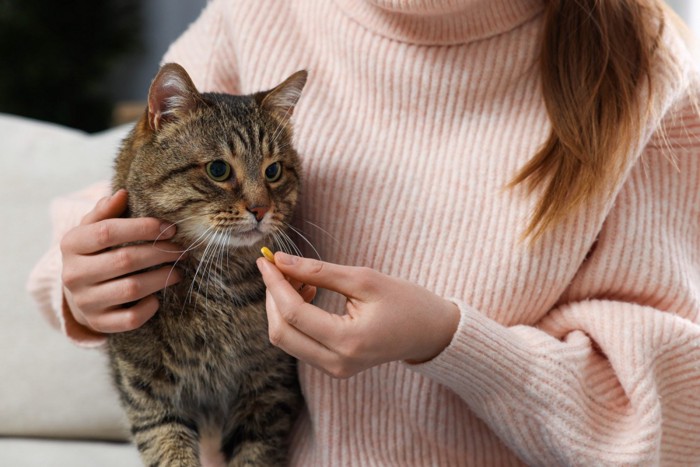 猫に薬を飲ませようとしている飼い主