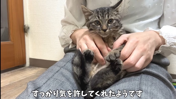 すっかり気を許して