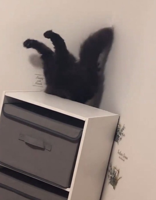 慌てるジジちゃん