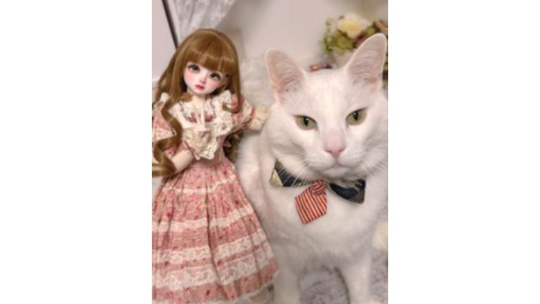 猫とドール人形