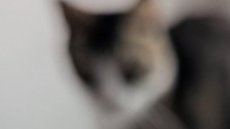 ピンボケした写真