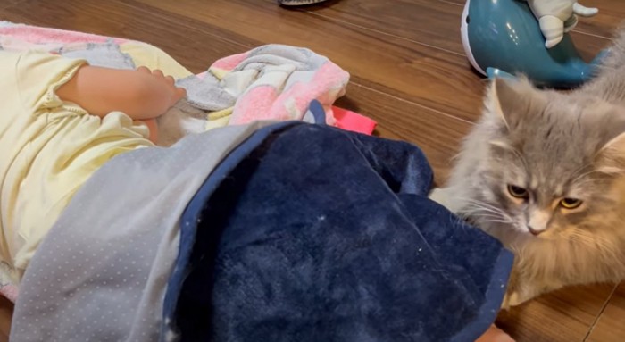 寝ている子供の足元の毛布の前で伏せをする猫