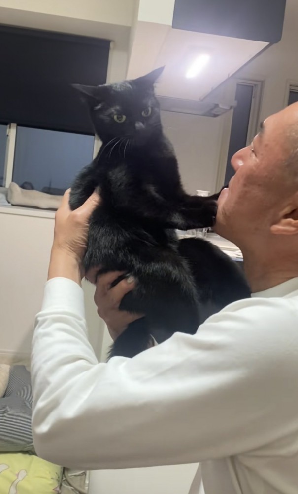 抱っこされる猫の写真2