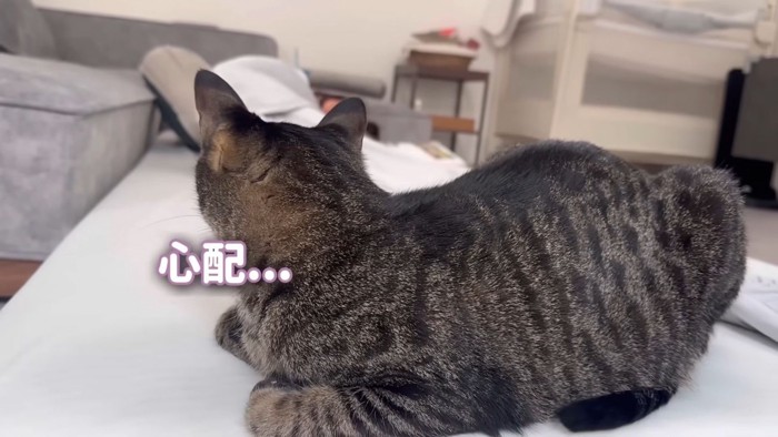 テロップ「心配…」