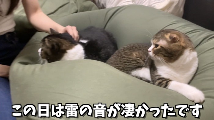 「この日は雷の音が...」のテロップ写真