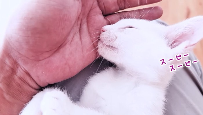 スーピースーピー