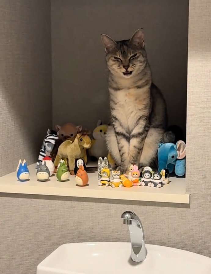 鳴くルナちゃん