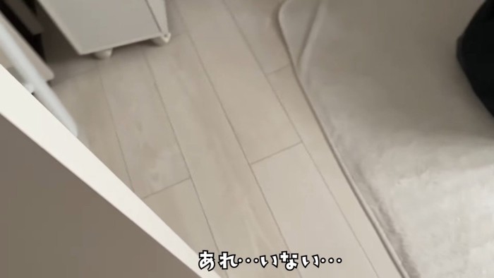 あれ…いない…