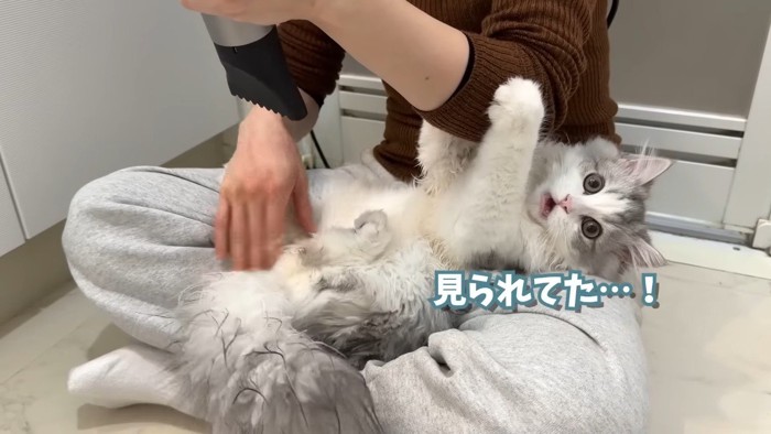 見られてた…！