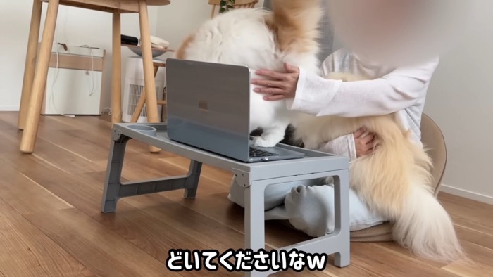 キーボードから降ろされるレモンくん
