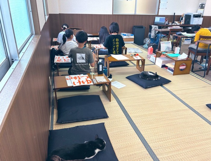 猫のいる習字教室
