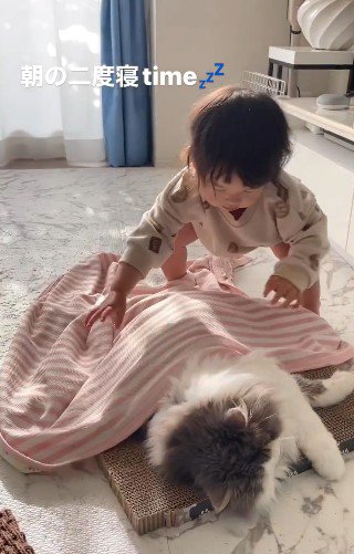 子どもにブランケットをかけてもらう猫