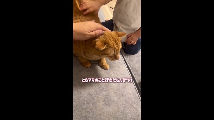 ドヤ