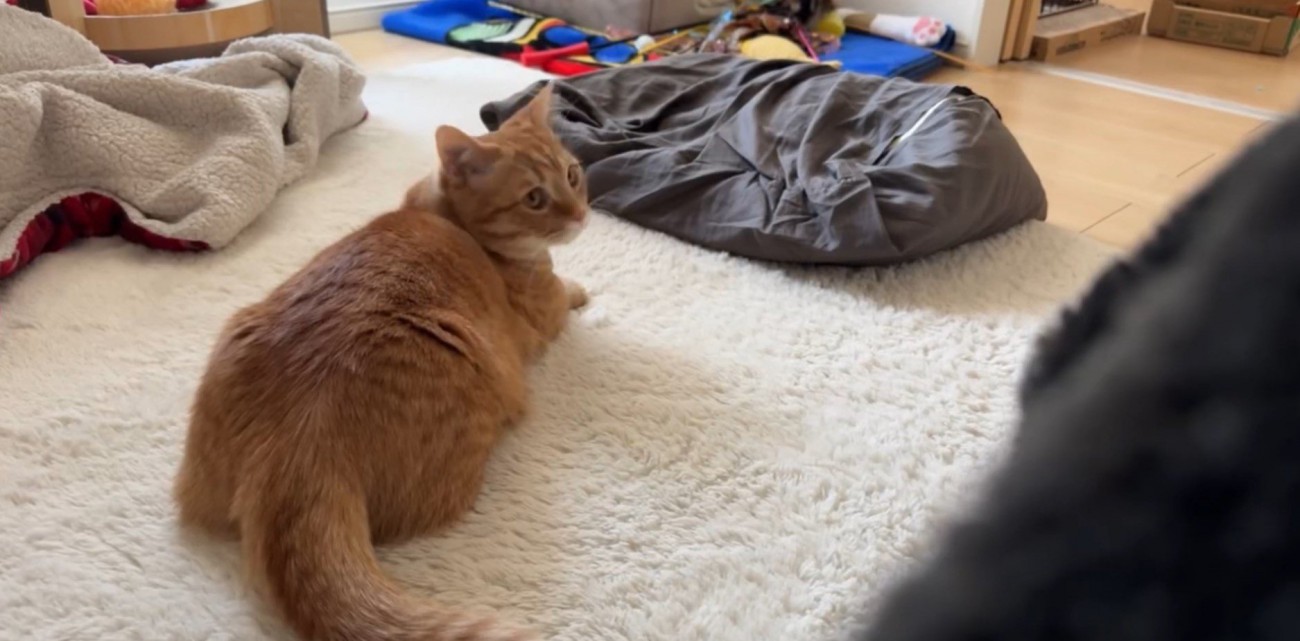 振り返るいずくん