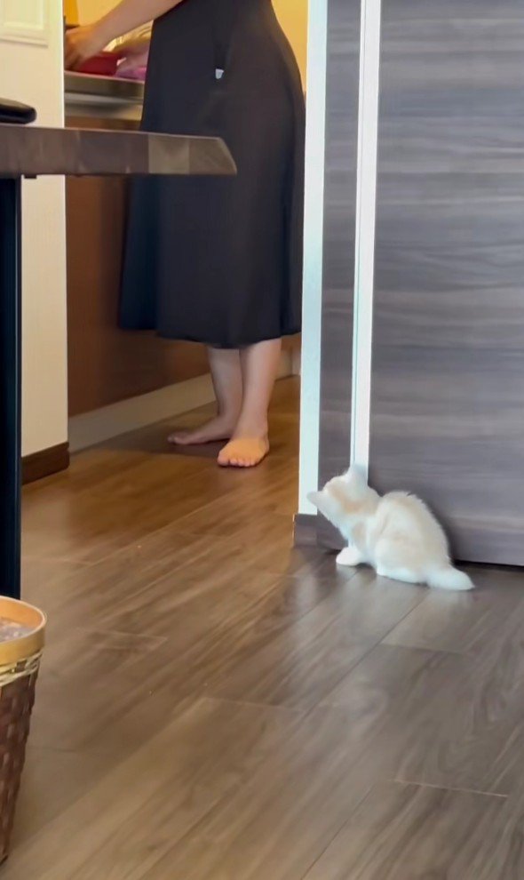 かくれんぼ中のバンビくん