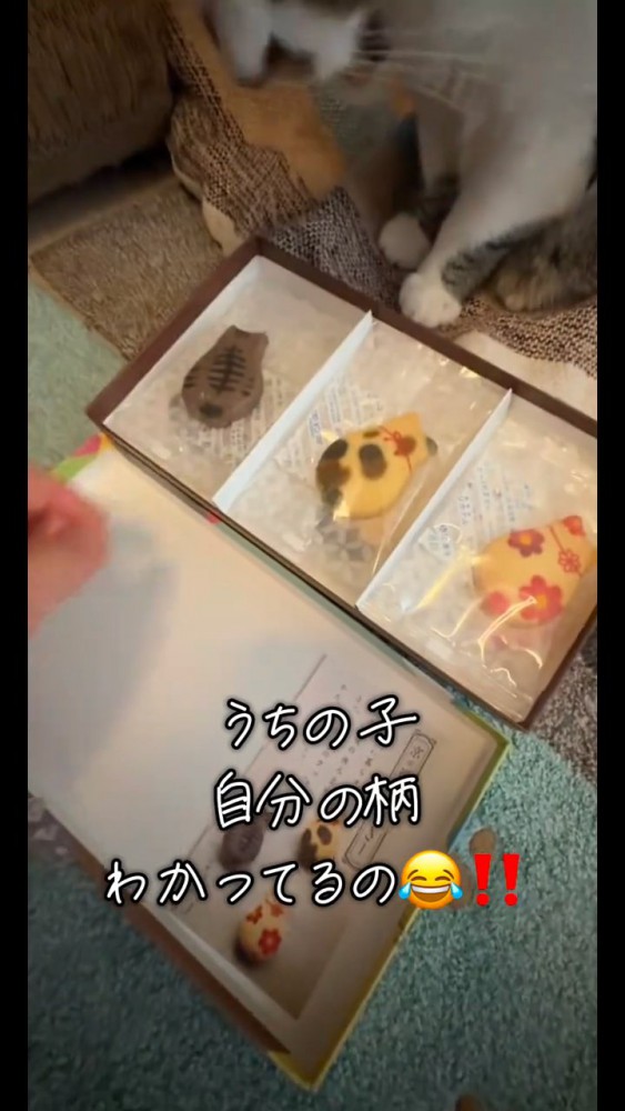 猫の形のクッキー