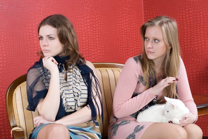 ケンカを見守る猫