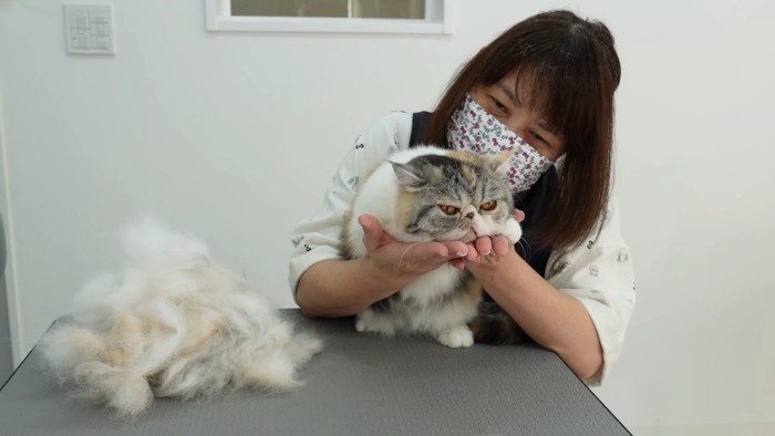 大量の抜け毛と