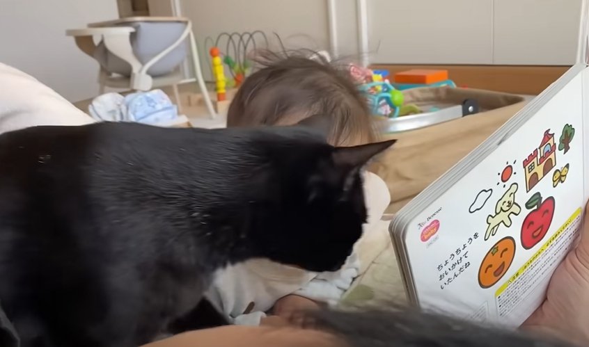 赤ちゃんの読んでいる本をのぞき込む猫