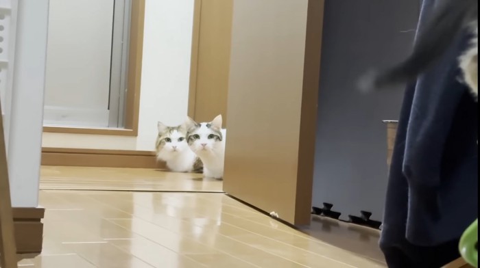 首を伸ばすふたり